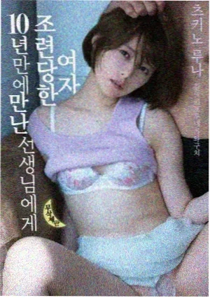 迷雾之森电视剧 2024